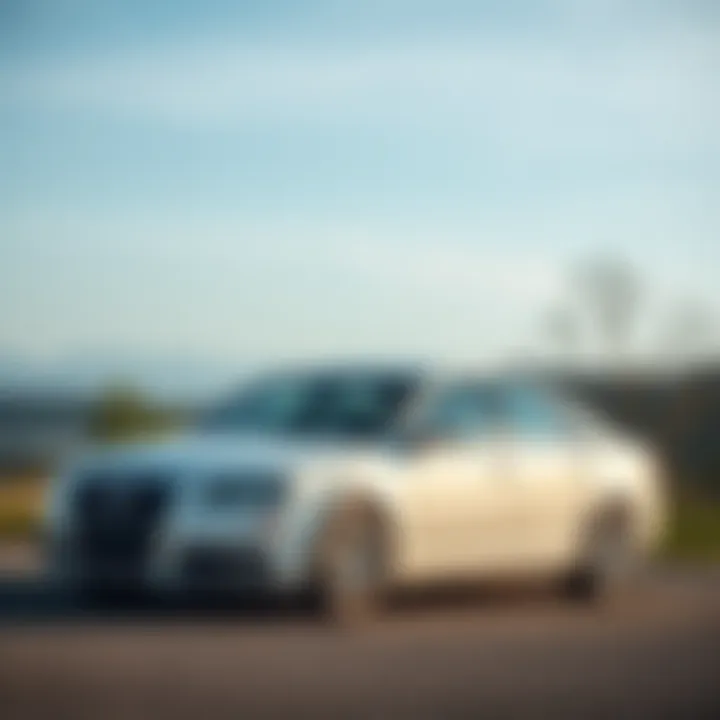 A 2007 Audi S8 parked in a scenic location, showcasing its sleek design and luxury features.