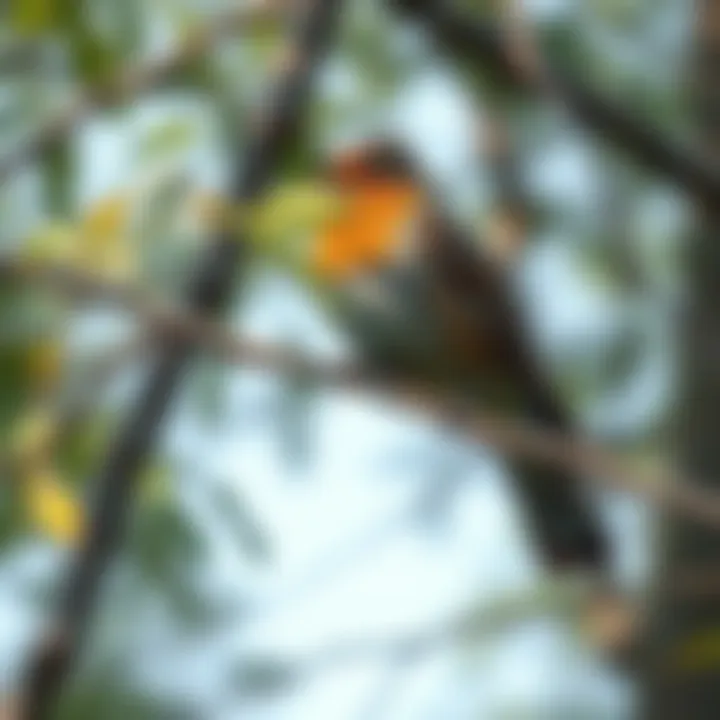 A bird sitting on a branch with a thoughtful expression, surrounded by trees, as if pondering where to poop.
