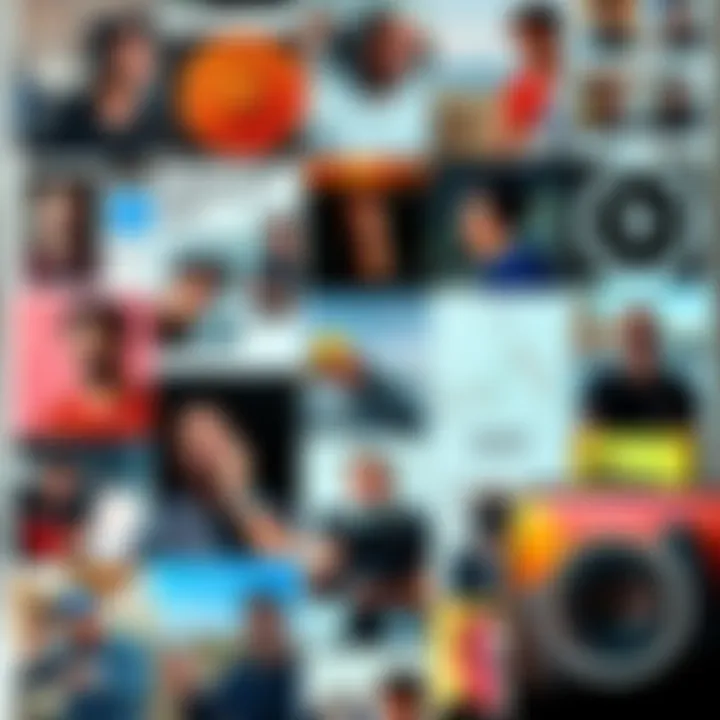 A collage of snapshots from a crypto enthusiast's iPhone camera roll, featuring memes, market charts, and personal moments.