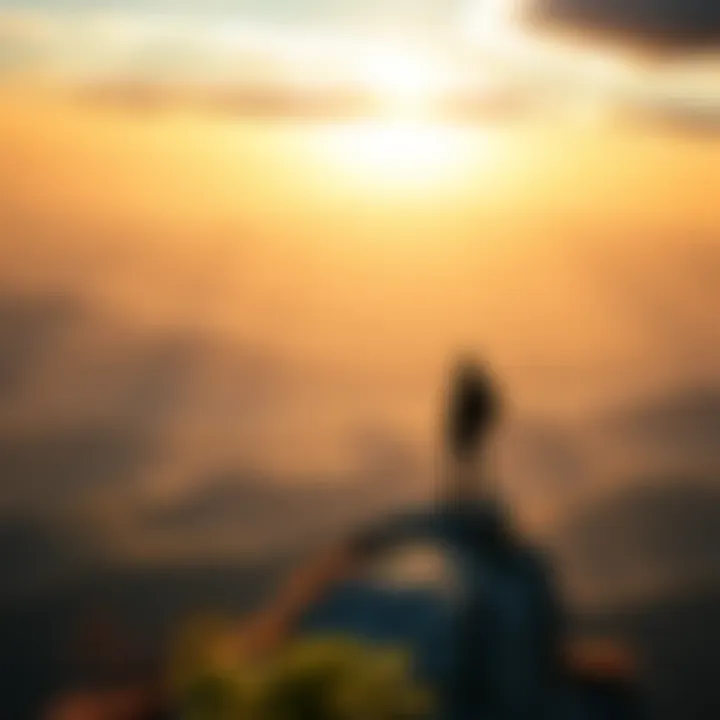 A holder standing on a mountain peak, looking out over a vast landscape, representing their life adventures.
