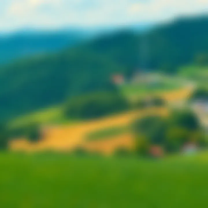 A scenic view of Pennsylvania's rolling hills and greenery, representing the state's unique culture and local life.