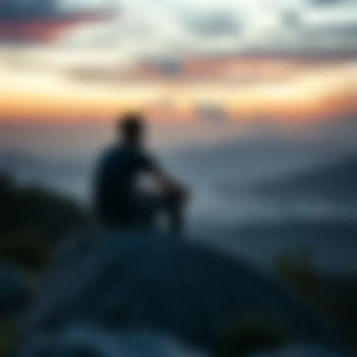 A person sitting on a rock in a serene landscape, contemplating life while looking at the horizon.