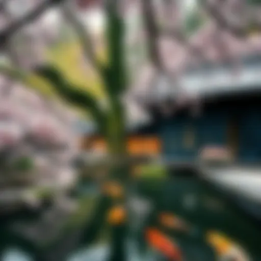 A peaceful Japanese garden showcasing cherry blossoms and a koi pond, representing Japan's rich culture.